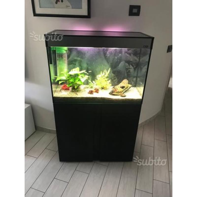 Acquario Ciano Askoll 160 lt